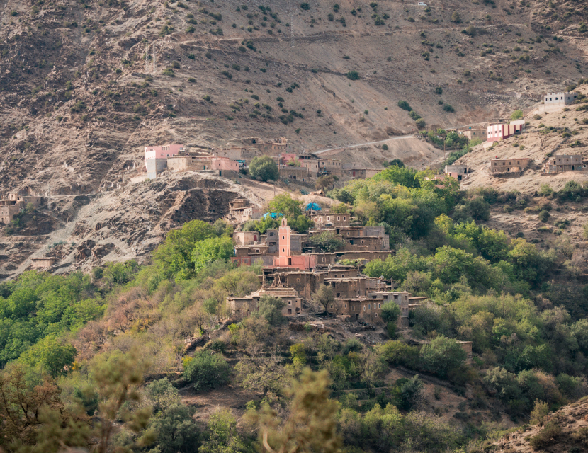 Association Al Mobadara